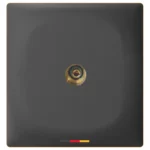 aulmo-L8019-qara